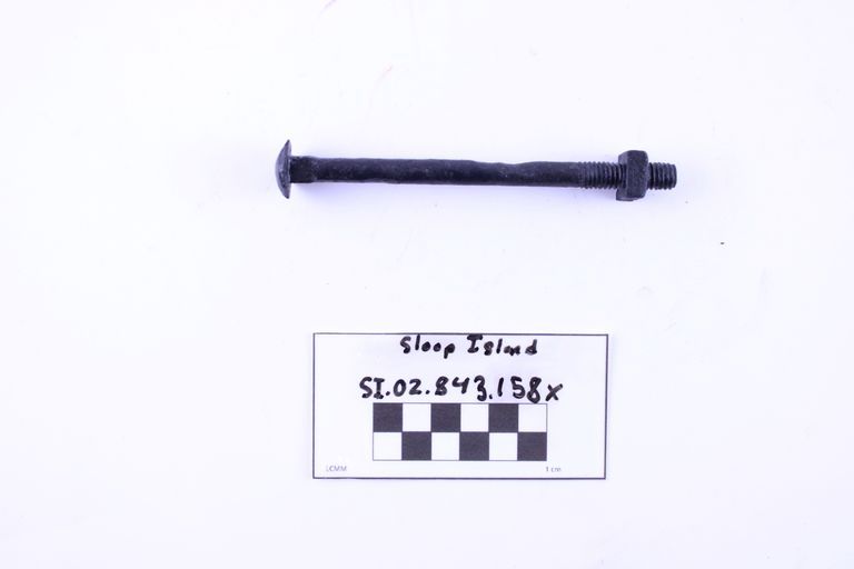 Carriage Bolt
