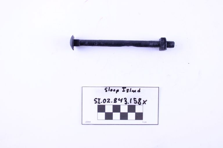 Carriage Bolt - Image 2