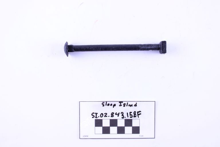 Carriage Bolt