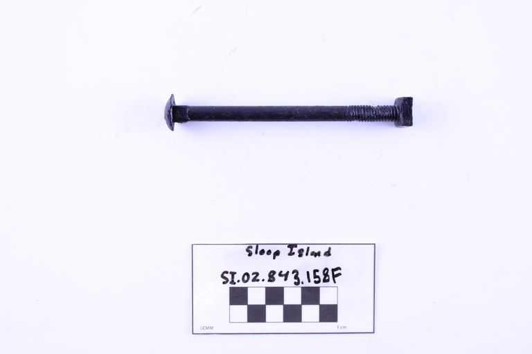 Carriage Bolt - Image 2