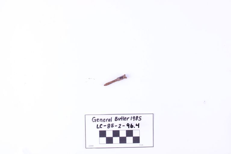 Flathead Screw