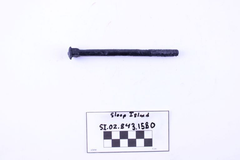 Carriage Bolt