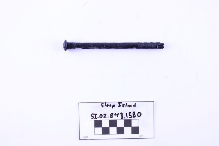 Carriage Bolt - Image 2