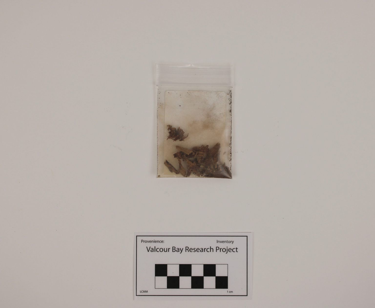 Shavings, fragment picture number 1