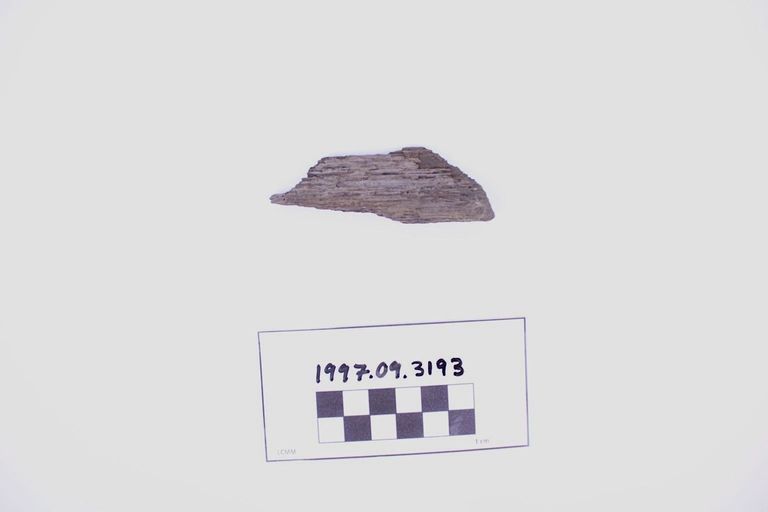 Fragment, Wood