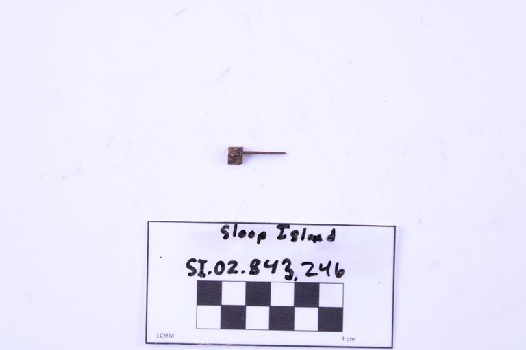Comb Tooth