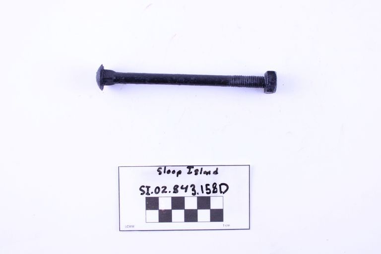 Carriage Bolt