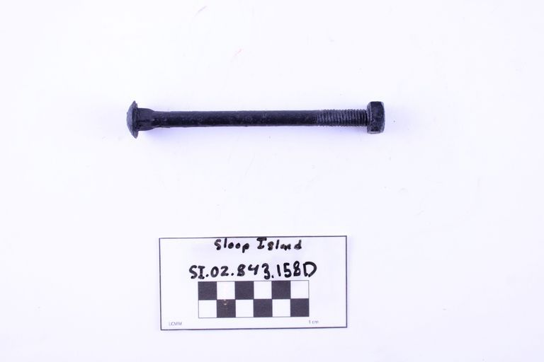 Carriage Bolt - Image 2