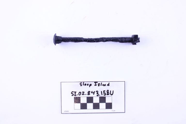 Carriage Bolt