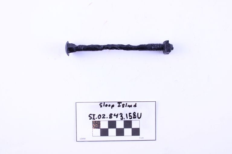 Carriage Bolt - Image 2