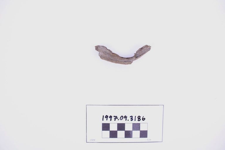Fragment, Wood