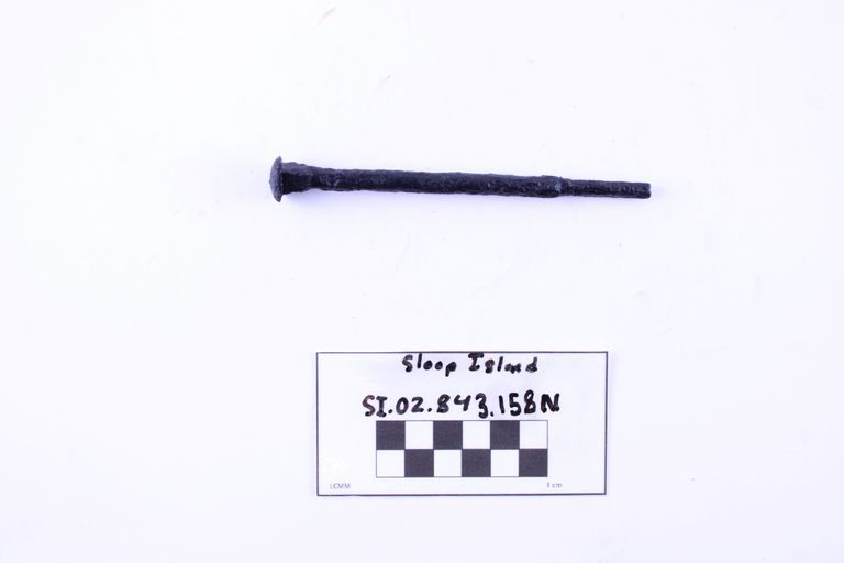 Carriage Bolt