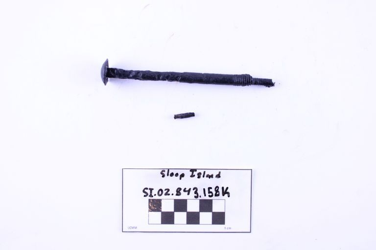 Carriage Bolt