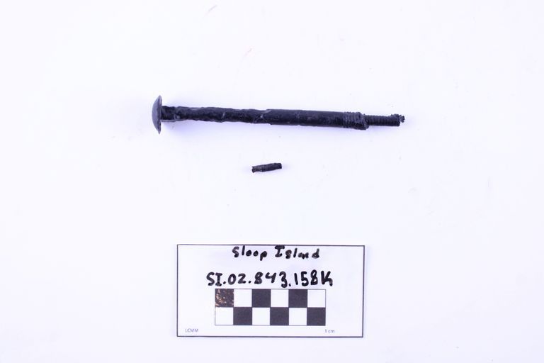 Carriage Bolt - Image 2