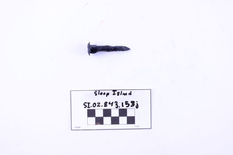 Carriage Bolt