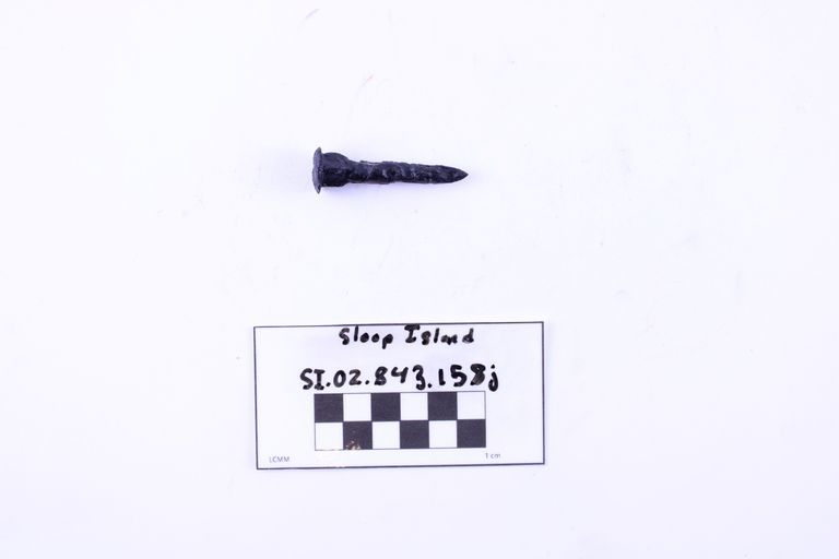 Carriage Bolt - Image 2