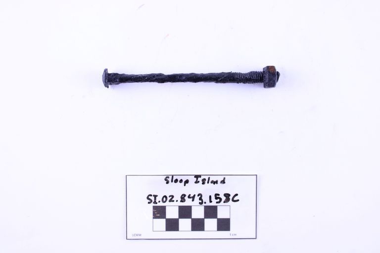 Carriage Bolt