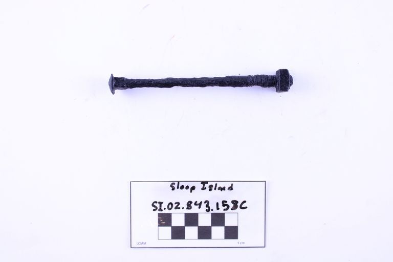 Carriage Bolt - Image 2