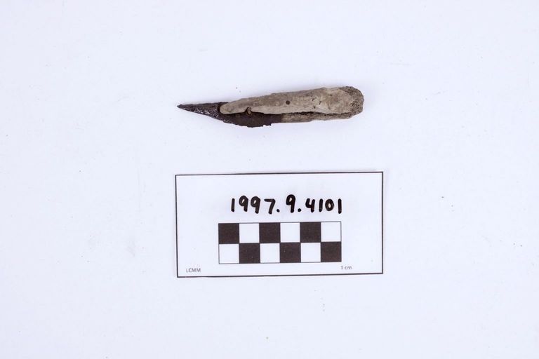 Fragment, Unidentified
