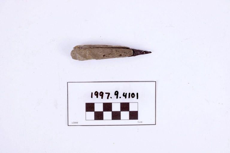 Fragment, Unidentified - Image 2