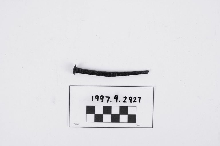 Nail