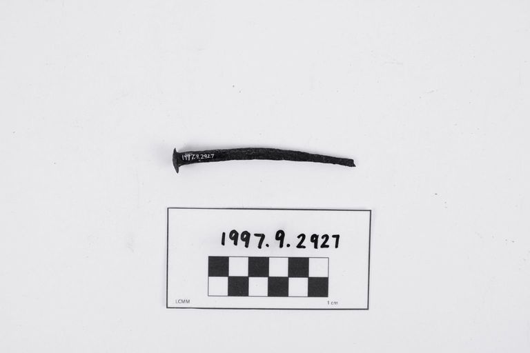 Nail - Image 2