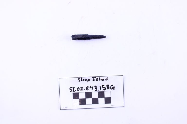Carriage Bolt