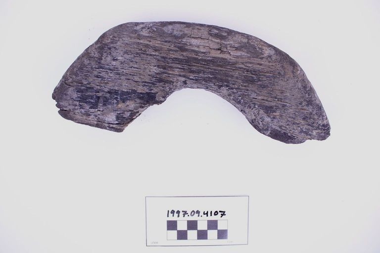 Fragment, Wood