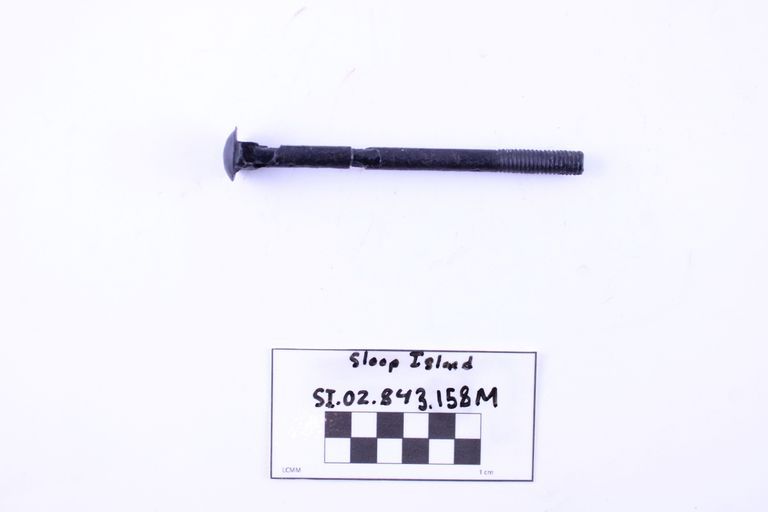 Carriage Bolt