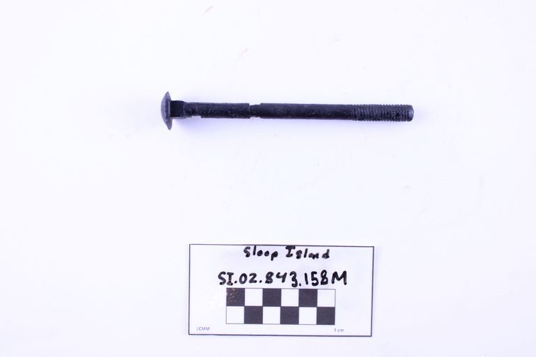 Carriage Bolt - Image 2