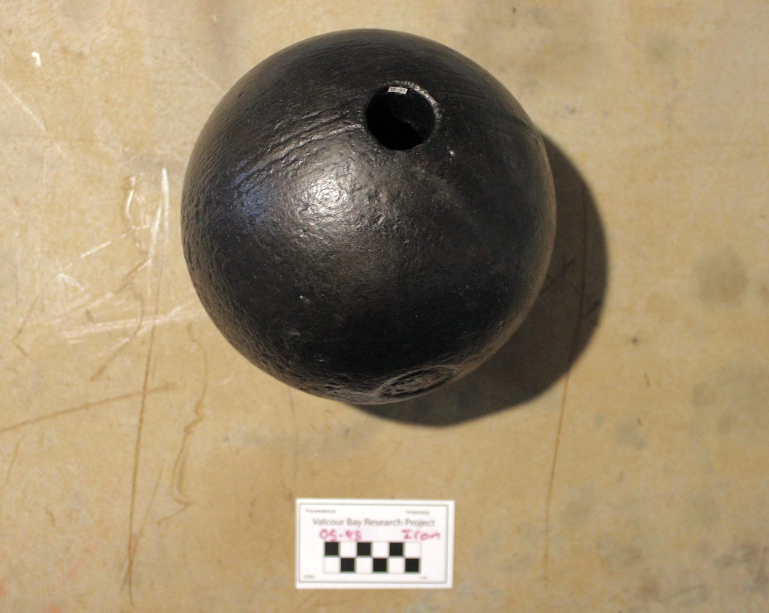Shell picture number 1