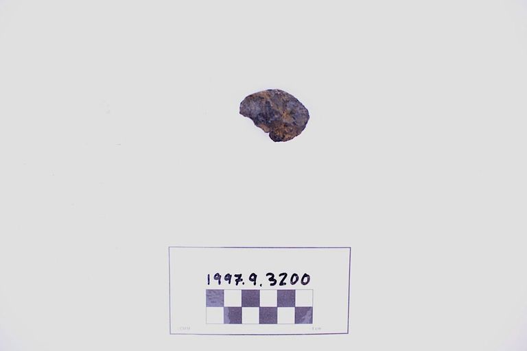 Pumice