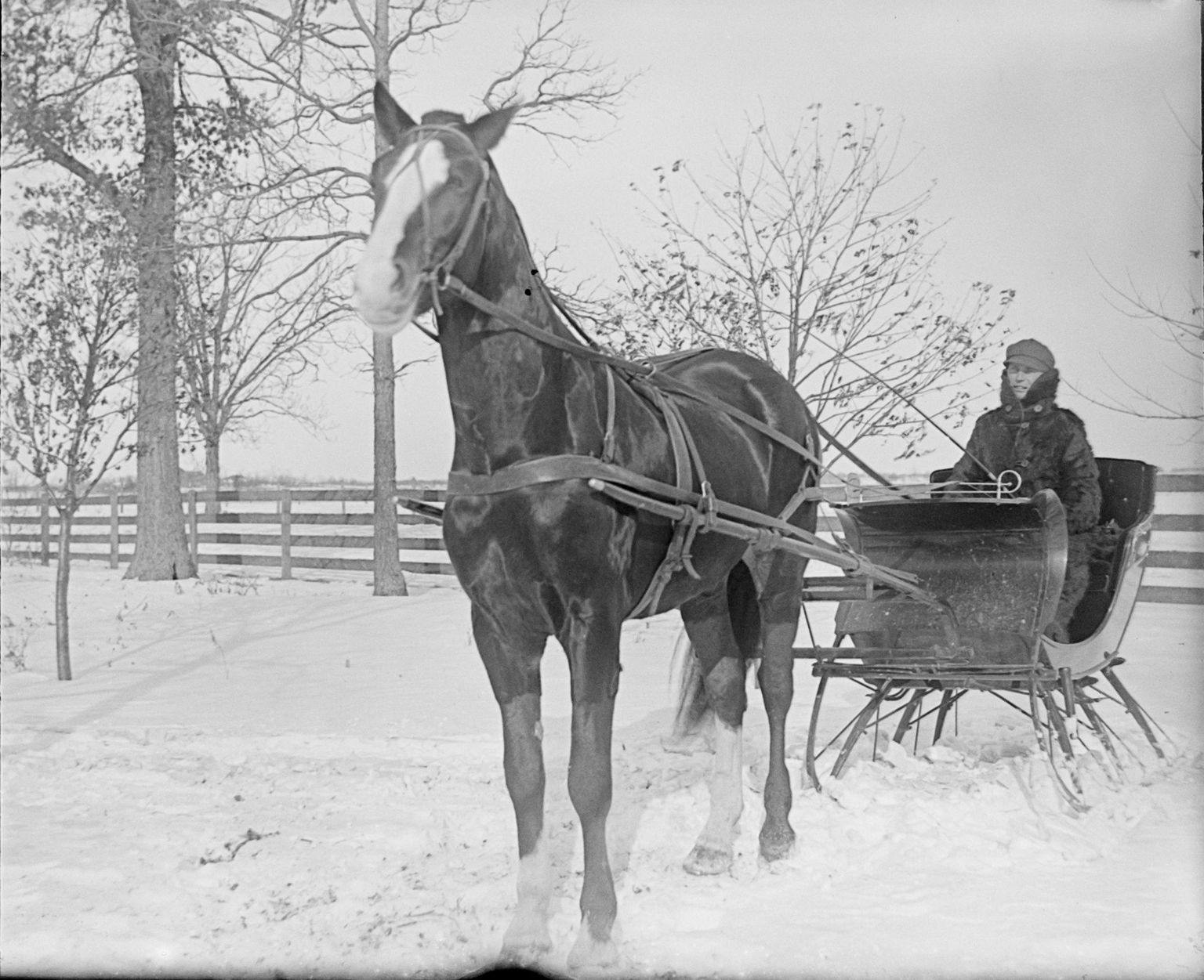 Glass Negative Collection