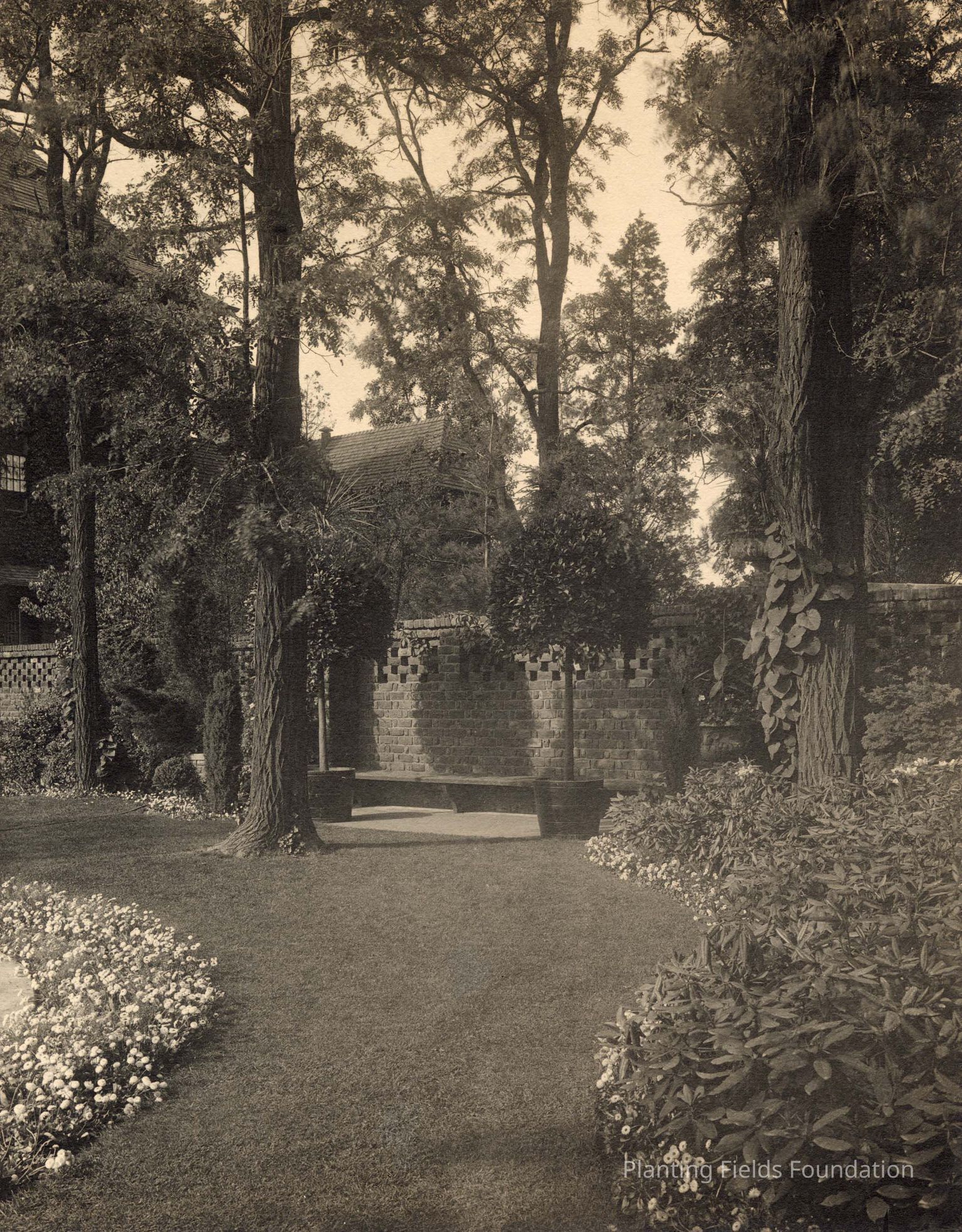 Photography Collection