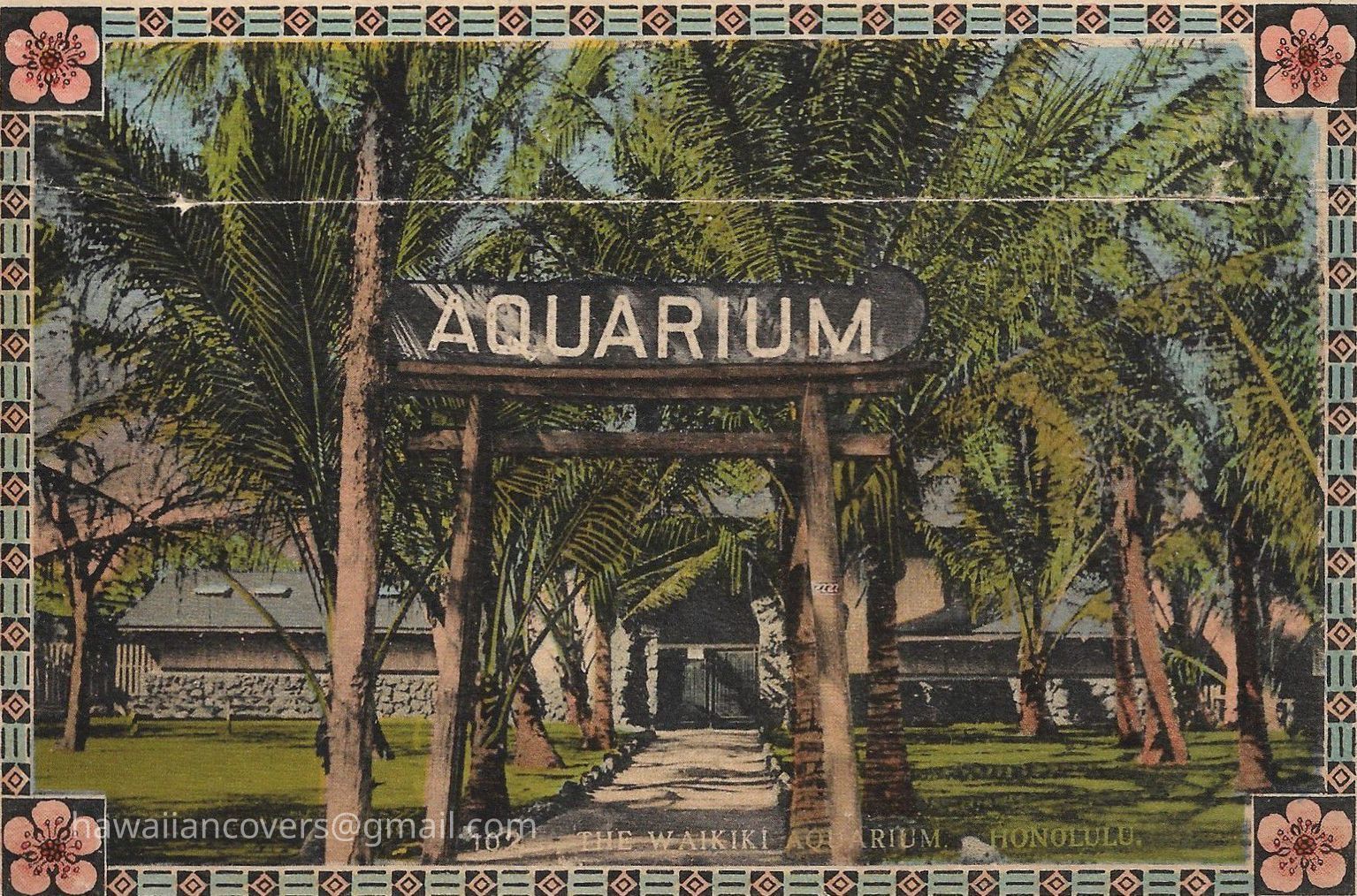 L. The Honolulu Aquarium 1916 - Postcards