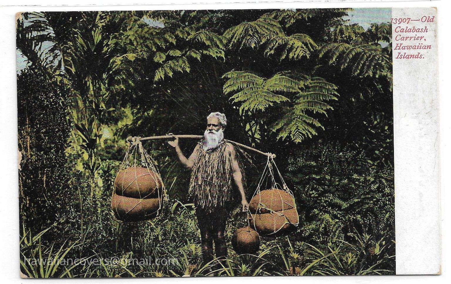 H. Men or Boys of Hawaii - Postcards or Photos