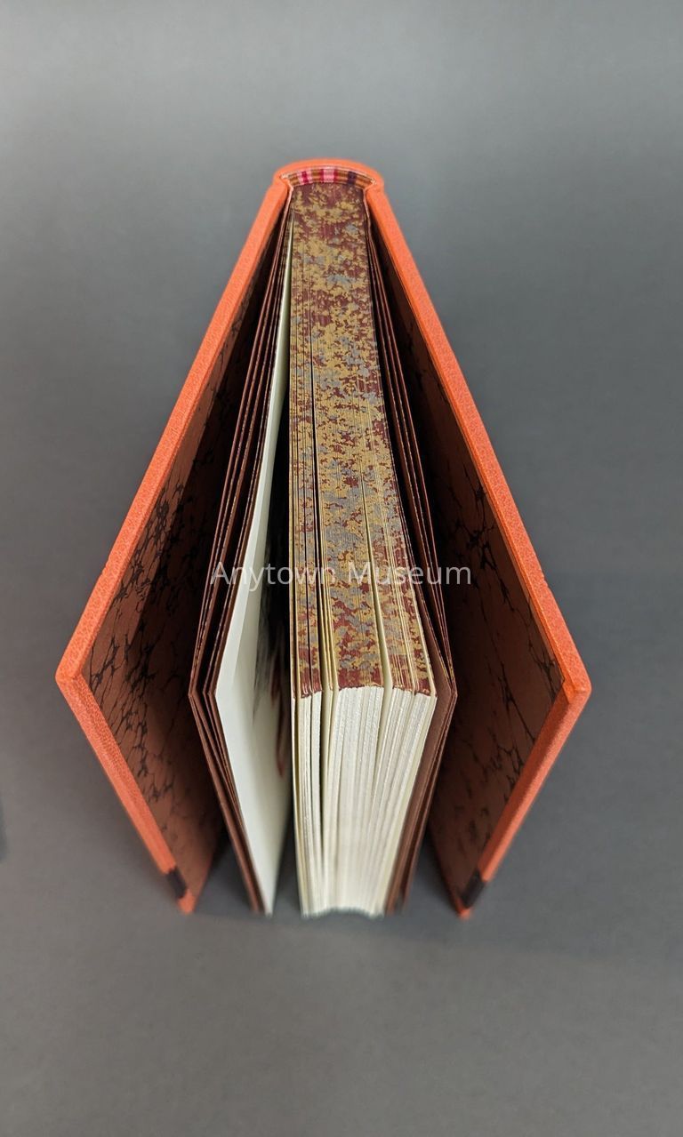 Vita Nuova - Image 5