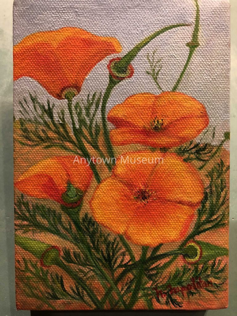 California Poppies - Image 2