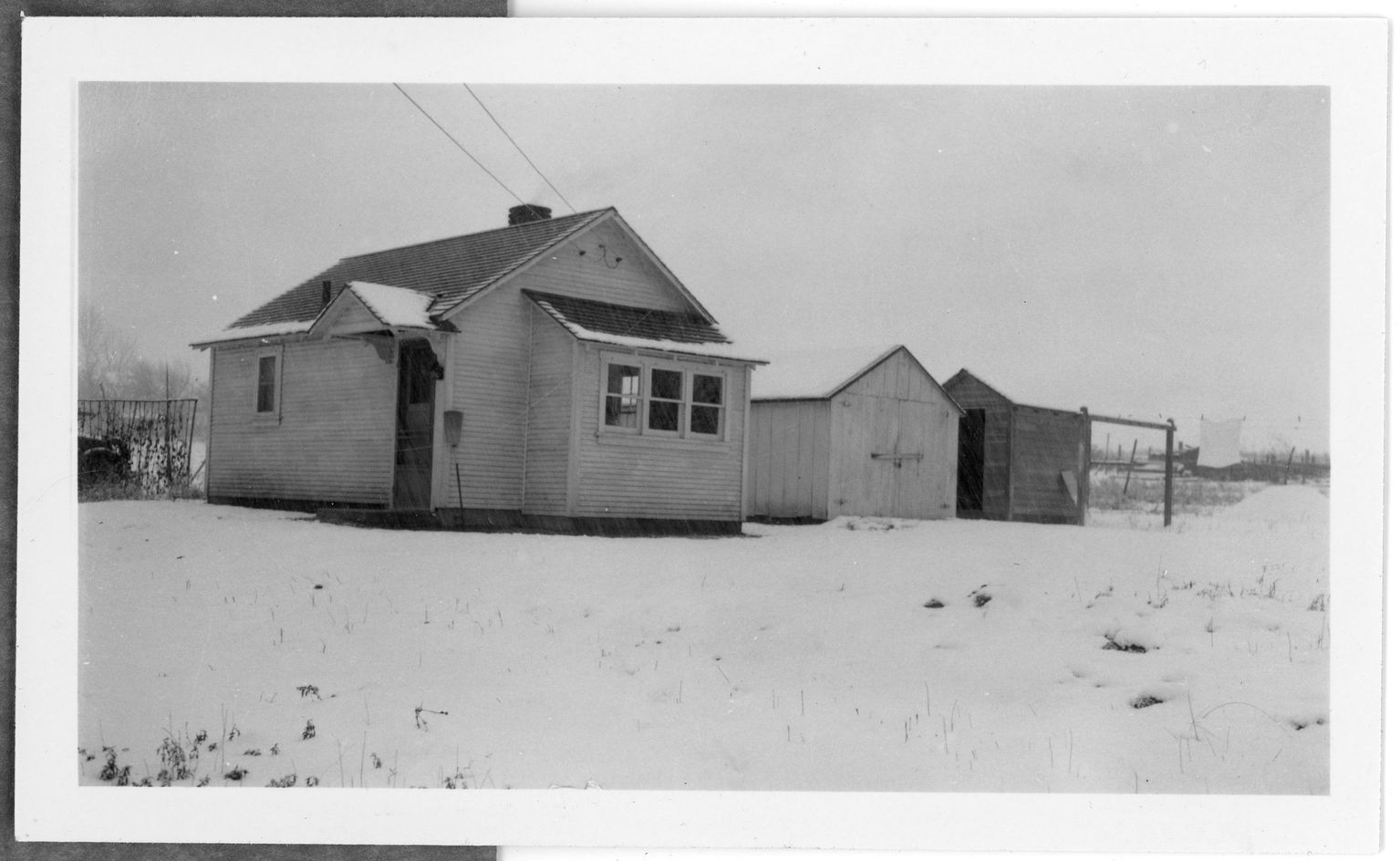 Ward Family Collection