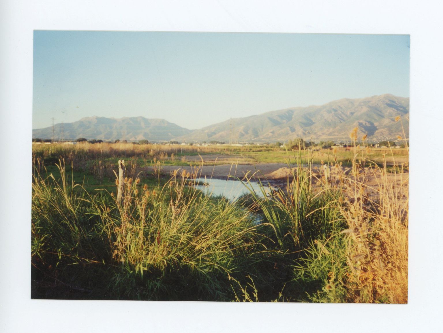 Photographs