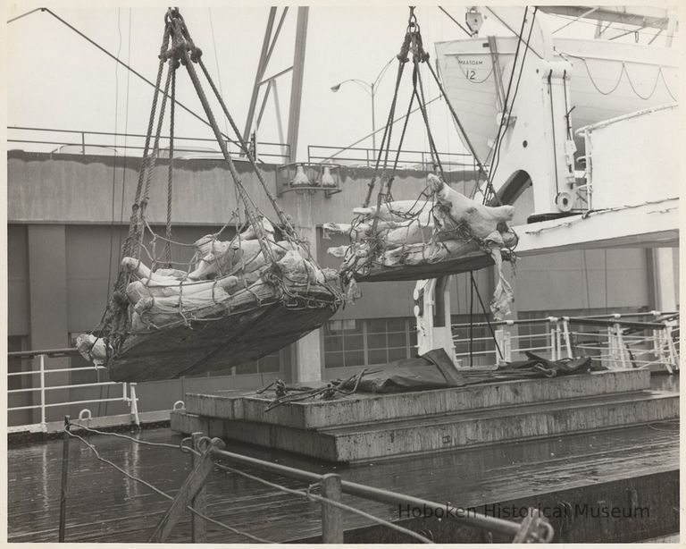 B+W photo of wrapped sides of beef being loaded(?) on the S.S. Maasdam, Holland America Line, Hoboken, n.d., ca. 1950s. picture number 1