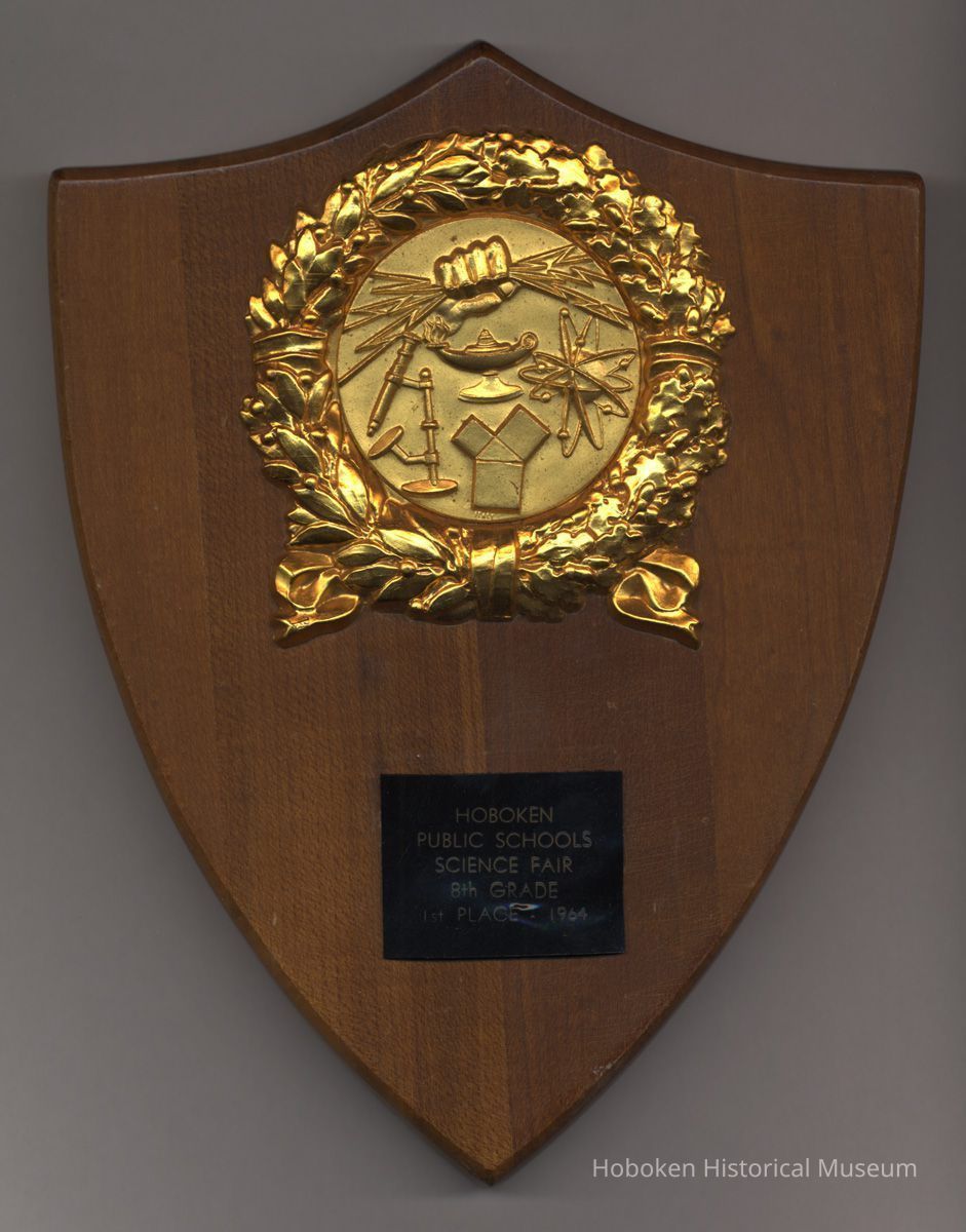 full plaque