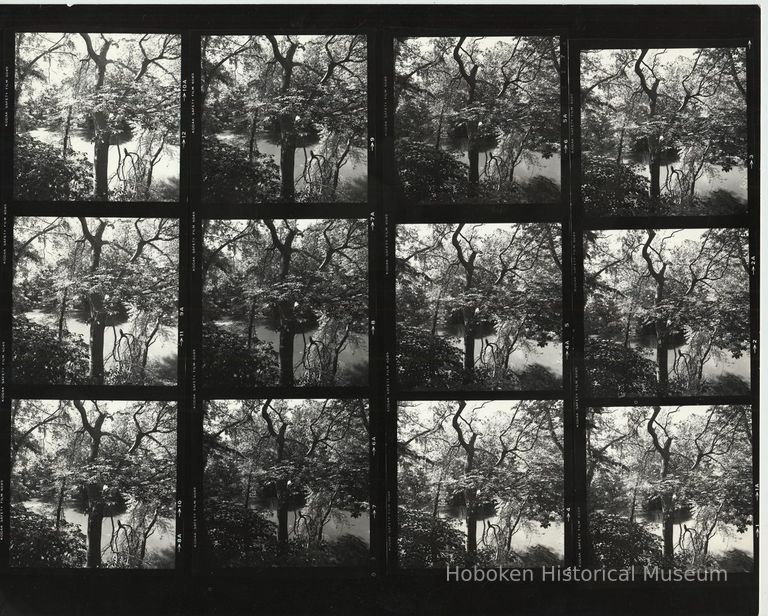 B+W negative contact sheet of images of Hoboken taken by John Conn. no date, [1976]. picture number 1