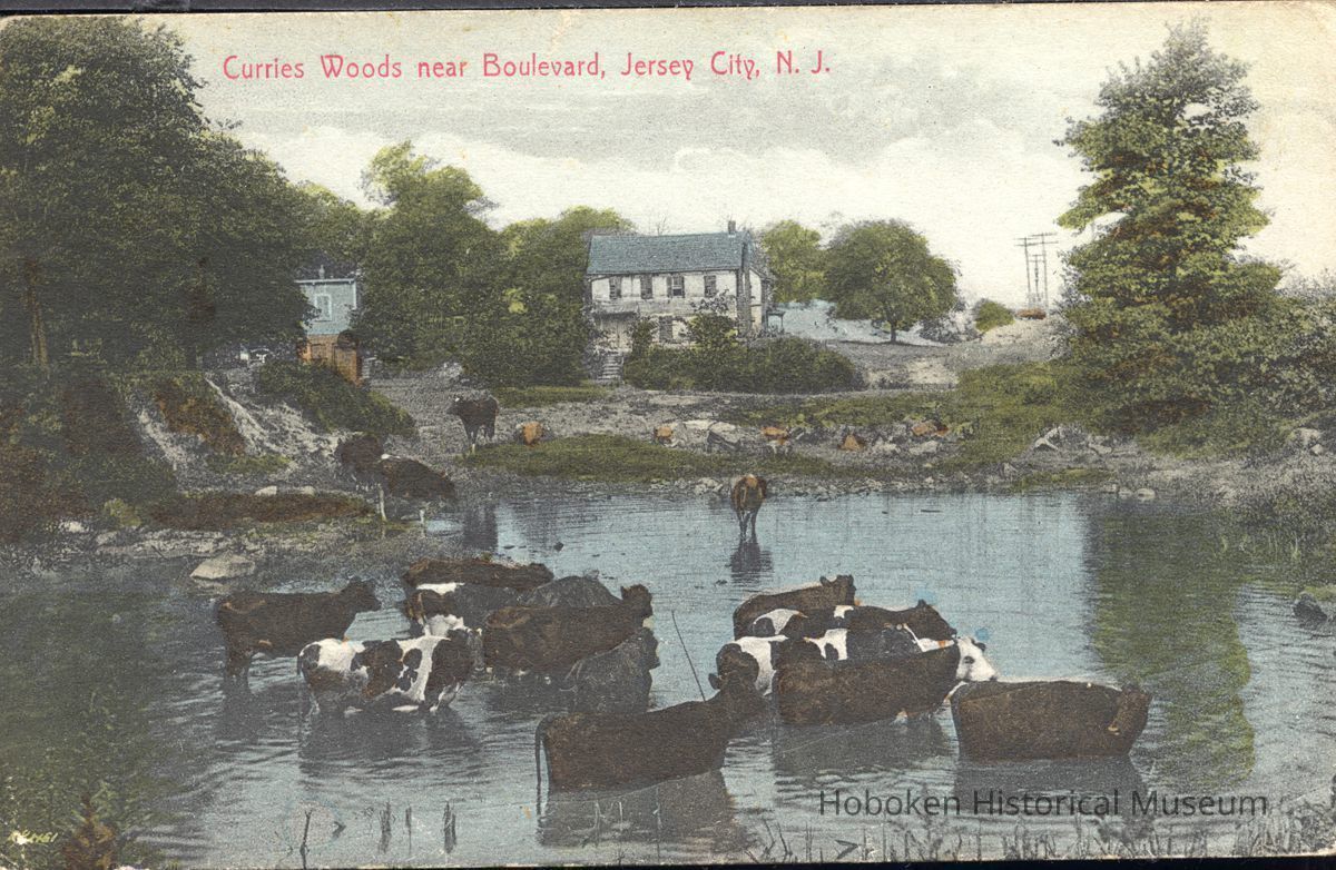 Postcard: Boulevard, Jersey City, NJ picture number 1