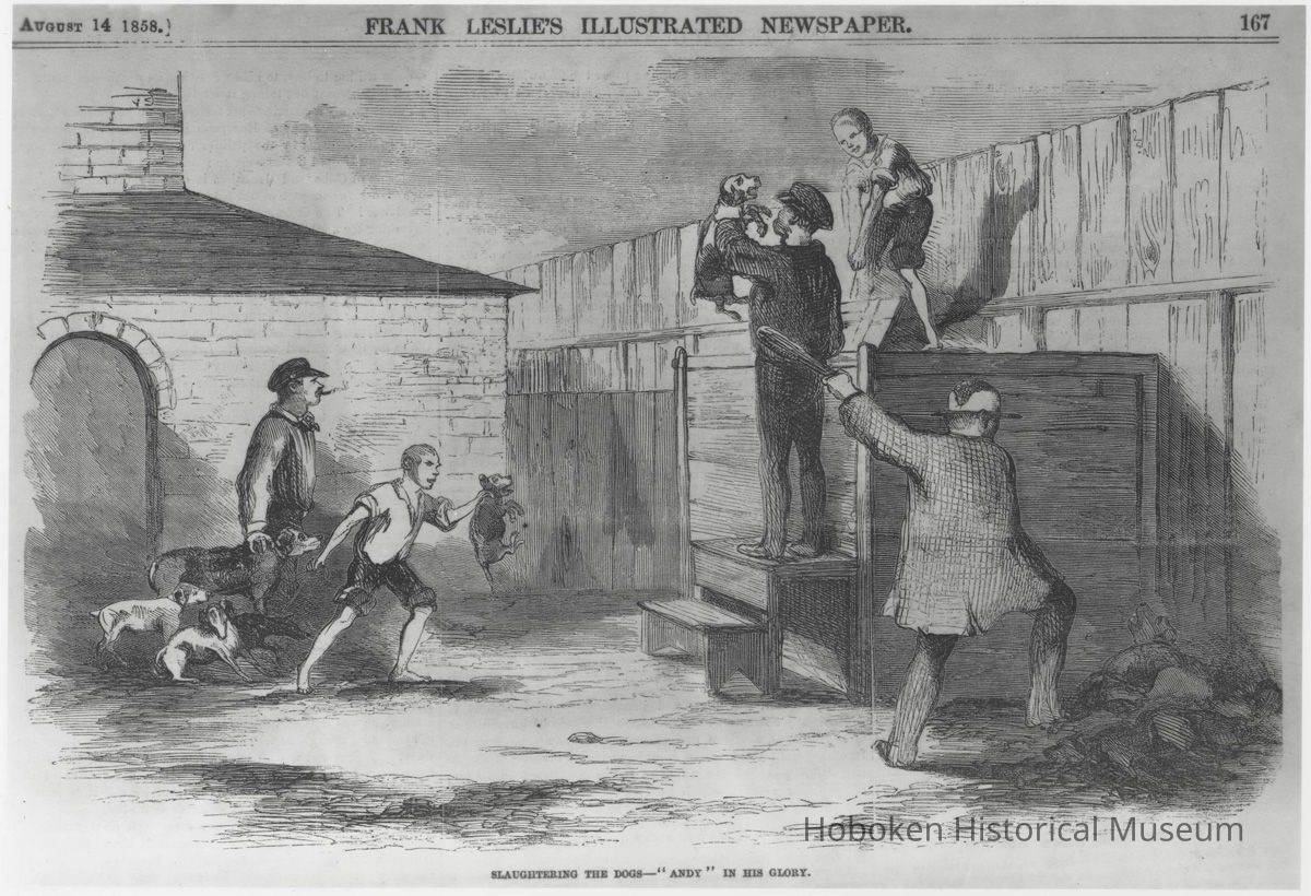 Photographic b+w reproduction: Slaughtering the Dogs - 