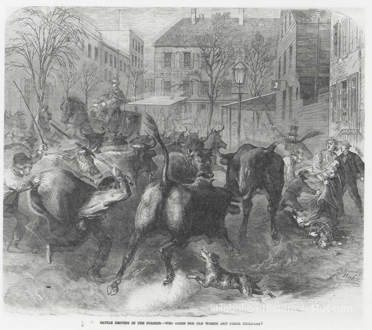 Print: Cattle Driving the the Streets. Published wood-engraving in Frank Leslie's Illustrated Newspaper, April 28,1866. picture number 1