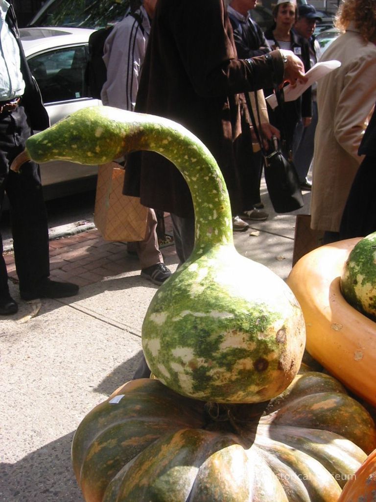 Digital copy of color photo of squash for sale outside Sobsey's Produce, 92 Bloomfield St., Hoboken, Oct. 18, 2003. picture number 1