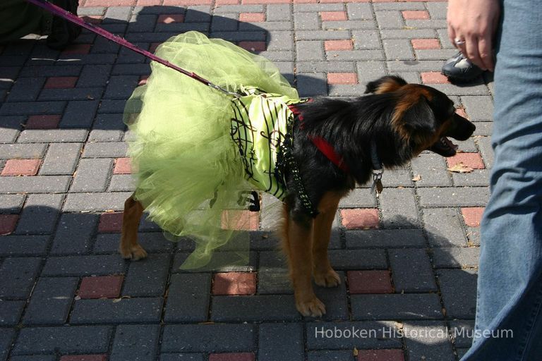 Digital color image of the 2004 Hoboken Pet Parade, along the Hoboken Waterfront, Sunday, September 26, 2004. picture number 1