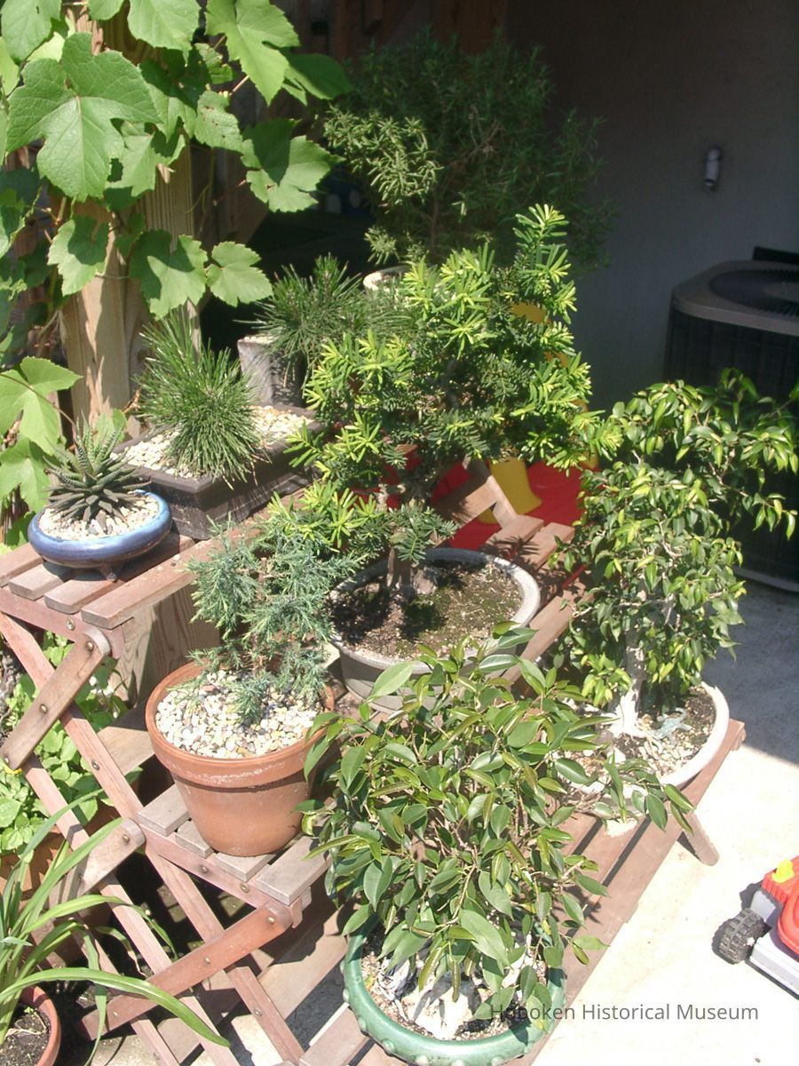 Digital color image of the gardens and people on the Secret Gardens Tour, Hoboken Historical Museum, Hoboken, June 9, 2002. picture number 1