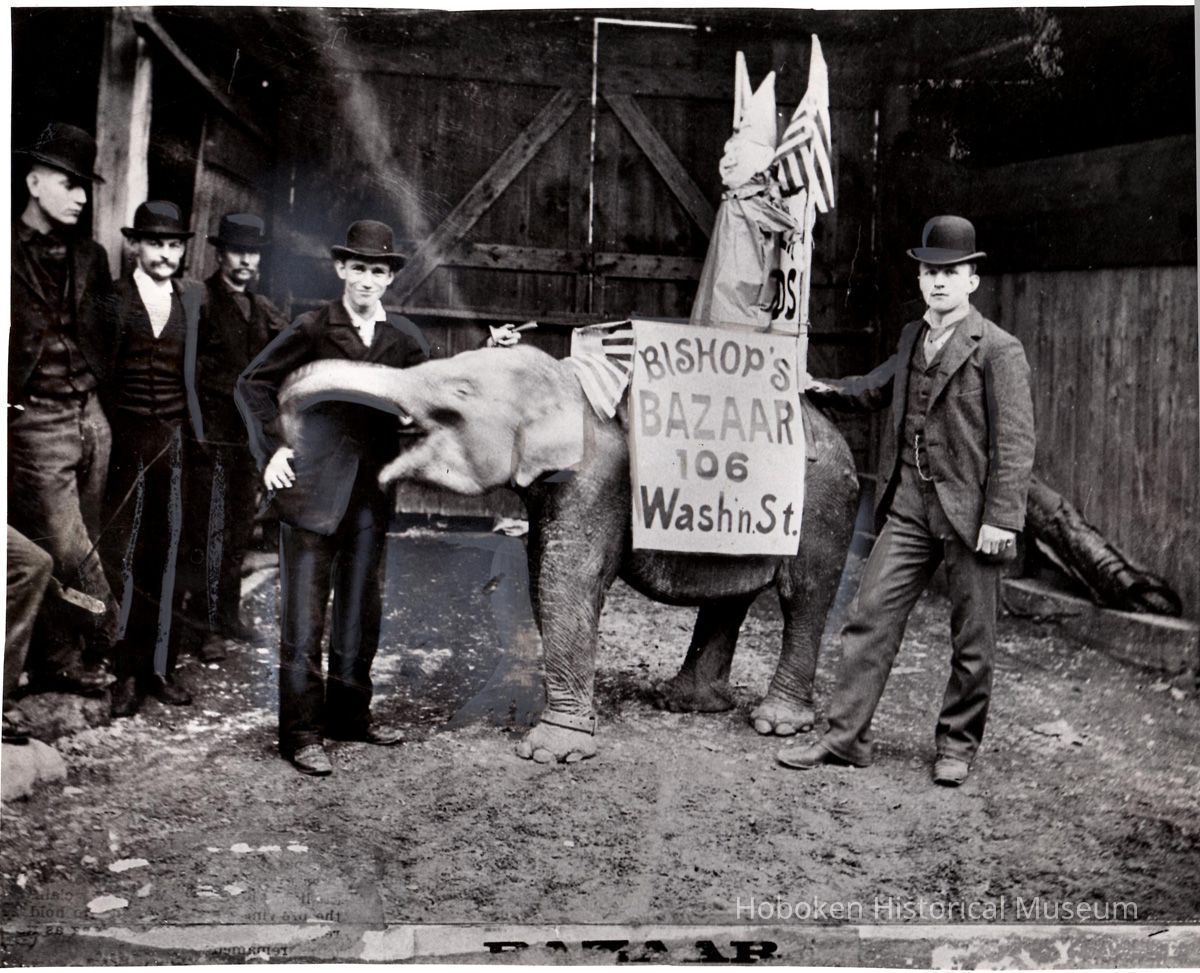 baby elephant with Bishop's Bazaar sign